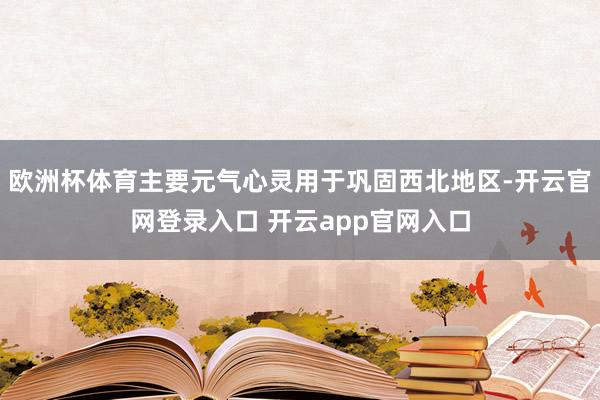 欧洲杯体育主要元气心灵用于巩固西北地区-开云官网登录入口 开云app官网入口