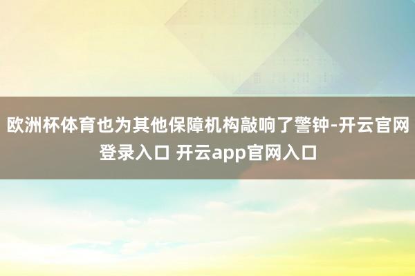 欧洲杯体育也为其他保障机构敲响了警钟-开云官网登录入口 开云app官网入口