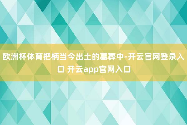 欧洲杯体育把柄当今出土的墓葬中-开云官网登录入口 开云app官网入口