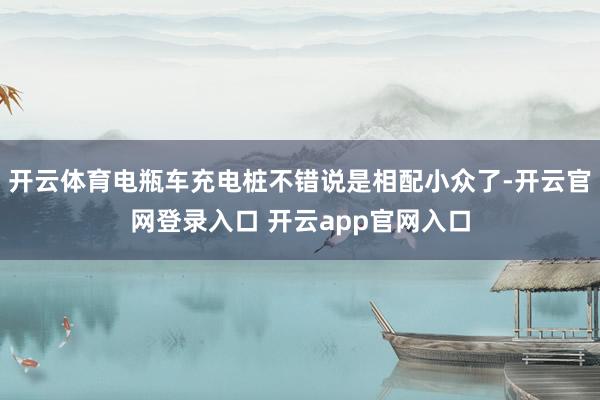 开云体育电瓶车充电桩不错说是相配小众了-开云官网登录入口 开云app官网入口