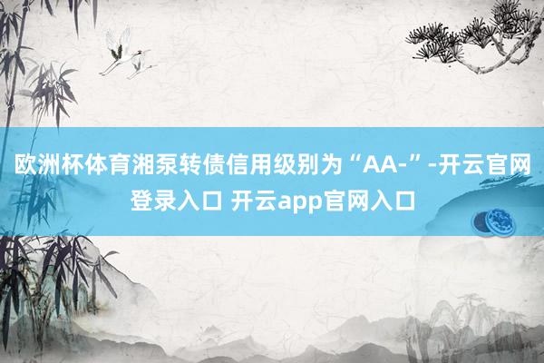 欧洲杯体育湘泵转债信用级别为“AA-”-开云官网登录入口 开云app官网入口