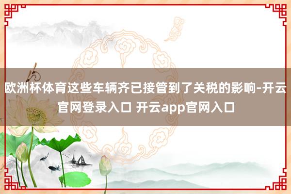 欧洲杯体育这些车辆齐已接管到了关税的影响-开云官网登录入口 开云app官网入口